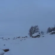 Ловля корюшки, Финский залив, маяк, 05. 02. 2026.