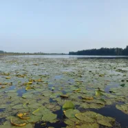 оз. Большое, Камбарский район 25-26 июля