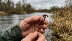 Не целого, а рваный пучок: опытный рыбак раскрыл главный секрет ловли карася в холодной воде