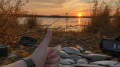 Лещ осенью воротит нос от червя? Показываю 4 «бутерброда», перед которыми он не устоит
