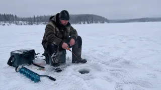 «За налимом — в Карелию, за навагой — на море»: где в России зимний клёв пробивает лёд даже в лютый мороз