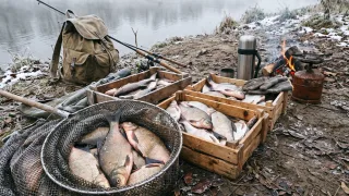 Каша мимо: на что клюет капризный ноябрьский лещ, когда вода остывает до +5 градусов