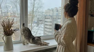 Окна больше не сифонят, а батареи греют на ура: переняла хитрость у сибиряков — дома жара без лишних трат