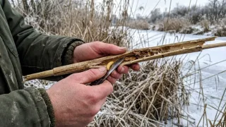 «Калорийная бомба» для леща и карася: эта бесплатная наживка выручает рыболовов в холодной воде