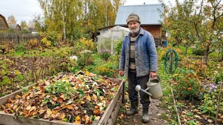 Вместо гор мокрых листьев — рыхлое "черное золото": засыпаю в мешки 2 горсти этой "смеси" — и к весне компост готов