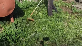 Чем заменить леску на тримере
