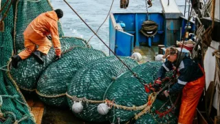 Росрыболовство выпустило все Приказы по пользователям на 2023 год