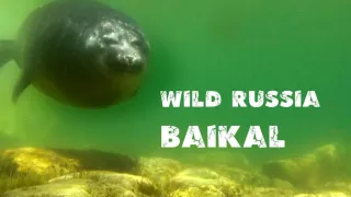 Байкал. Нерест омуля (Заповедный спецназ) Ушканьи острова {Охота на браконьеров} Соболь. Святой Нос