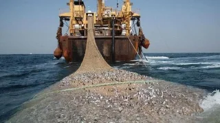 Англичане хотят начать с Россией «рыбную войну»