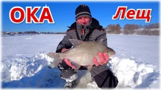 ОКСКИЙ ЛЕЩ не лезет в лунку. Зимняя рыбалка в феврале 2021.
