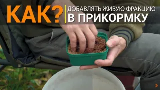 Как добавлять живую фракцию в прикормку?