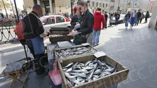 Россияне могут остаться без рыбы