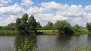 Озеро Казанское Самарская область