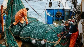 Необъявленная рыбная война. Почему Китай ограничивает импорт рыбы из России?