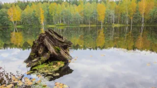 Щучье озеро Свердловская область