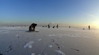Отчет о рыбалке на Финском заливе. 15.01.2022