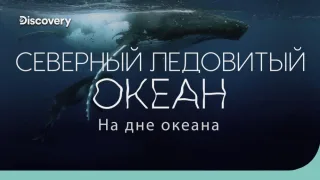 Северный Ледовитый океан: полярная бездна