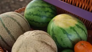 Как выбрать спелый и сочный арбуз