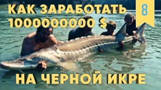 Как выращивают краснокнижную рыбу, стерлядь, белуга, севрюга, осетр.