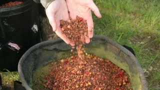 Рыболовная прикормка и ее предназначение