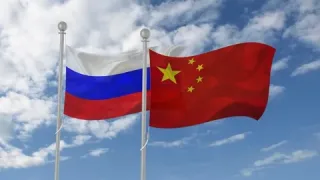 Россия и Китай обсудили создание совместной платформы по торговле рыбной продукцией