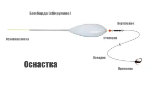 Как ловить на Бомбарду (Сбирулино)? Монтаж снасти и техника ловли