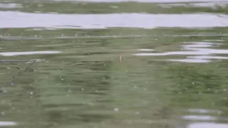 Как ловить на поплавок при сильной волне