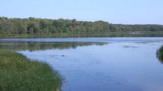 Река Чардым Саратовская область