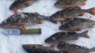 Озеро Товское Архангельская область