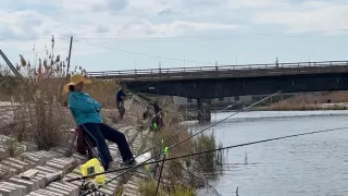 Рыбалка на канале в Волгограде 02.05.2023
