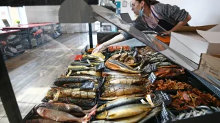 Россия полностью покрывает потребности внутреннего рынка рыбы