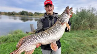 Рыбалка на спиннинг, ловля щуки осенью!