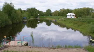 Подсолнухи Омская область, Село Красноярка