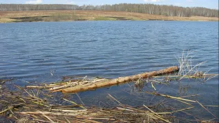 Озеро близ Сысоевки Нижегородская область