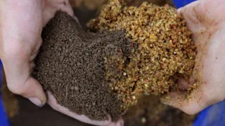Как сделать прикормку для ловли карася?