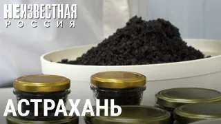Чёрное золото России