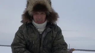 Ловля налима в Среднеколымске. Охота и рыбалка в Якутии