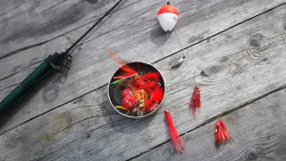 Снасти для ловли горбуши - удочка и спиннинг