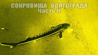 Подводная Охота. Два дня охоты на Волге 2023 - Часть 2