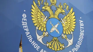 Объявление о внесении изменений в приложение к приказу Росрыболовства от 28 июня 2021 г. № 395