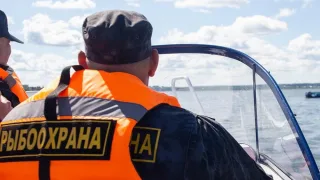 Росрыболовство совместно с ФСБ и полицией пресекают незаконный оборот рыбной продукции в Приморском крае