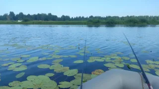 Рыбалка в Каракулинском районе, озеро Шаньга