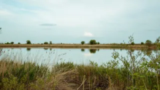 Озеро Таловатое Ростовская область