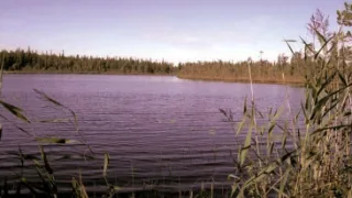 Озеро Абаткуль Челябинская область