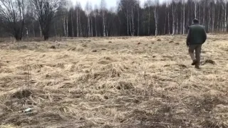 Покупка дачного участка от А до Я