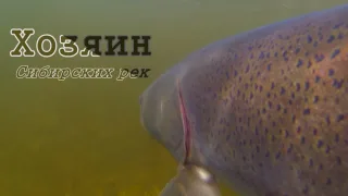 Самая опасная рыба Сибирских рек