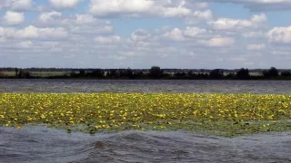 База отдыха Новоивановская Омская область