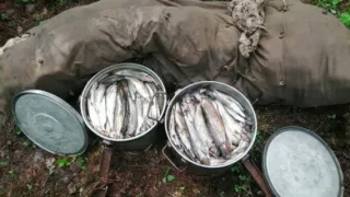 На крючке