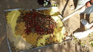 Прикормка для ловли любой рыбы: компоненты и секреты