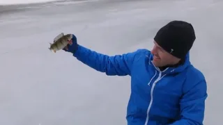Рыбалка в Подмосковье. Отчет на Рузском водохранилище...